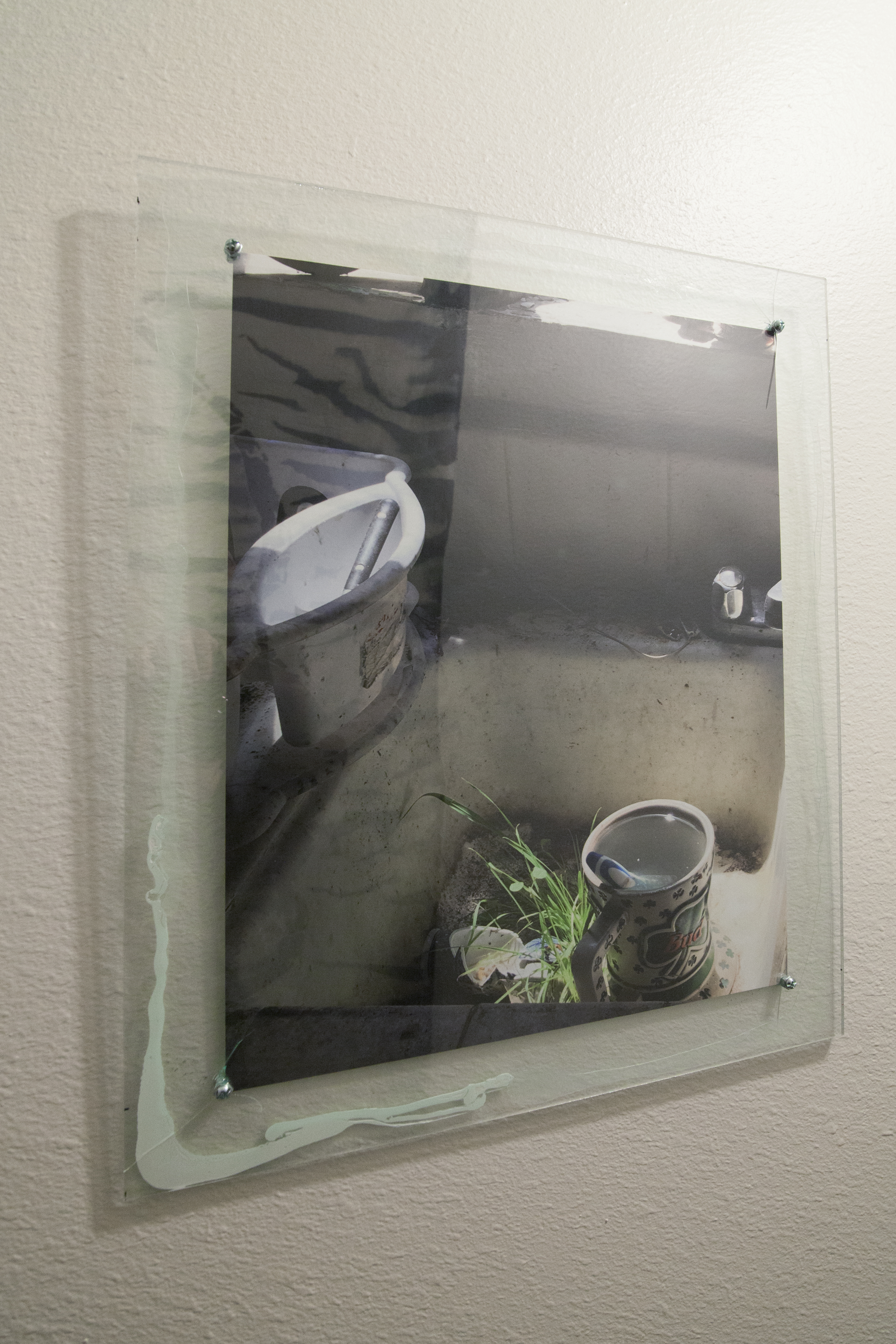 Photo print of a sink with a plant growing out of the drain hung on a white wall